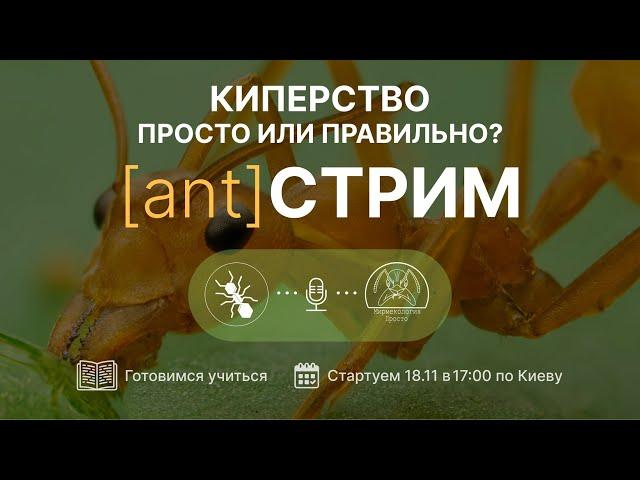 Киперство: просто или правильно? Муравьиный стрим с "Мирмекология - просто"!