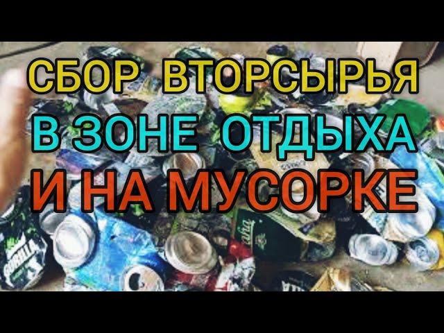 Сбор вторсырья в зоне отдыха и на мусорке , алюминевые банки , картон , металл.