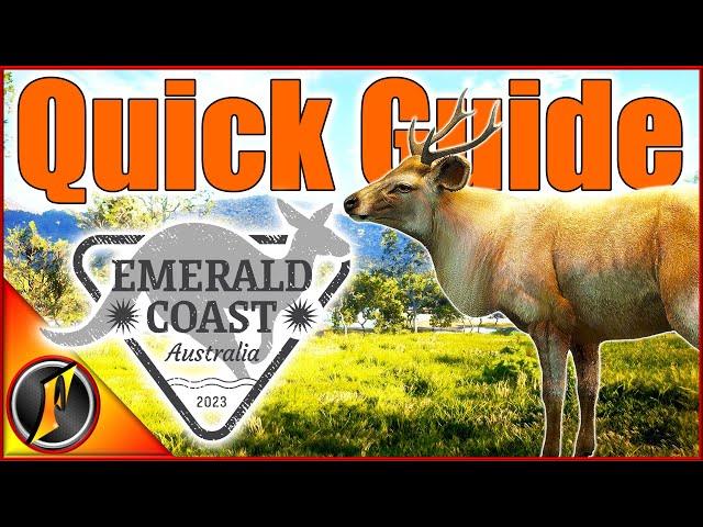 Emerald Coast Quick Guide! | Best Loadout, Top 5 Hunt Locations!