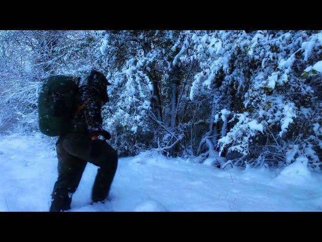 Winter Survival in Snowstorm | Solo Bushcraft Snow Camping Outdoor Cooking