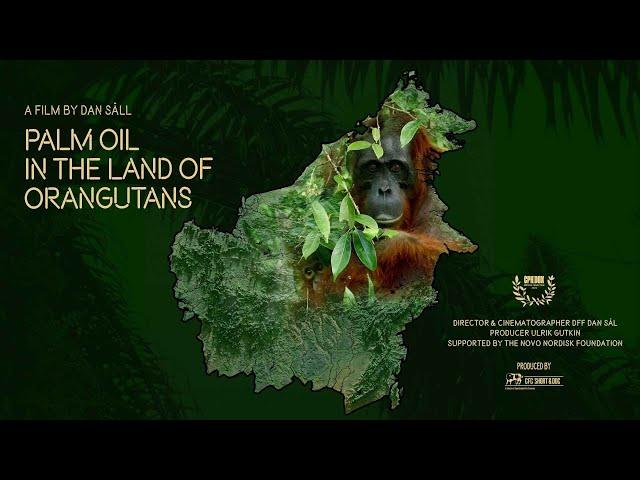 Palm Oil in the Land of Orangutans | Trailer | Coming Soon