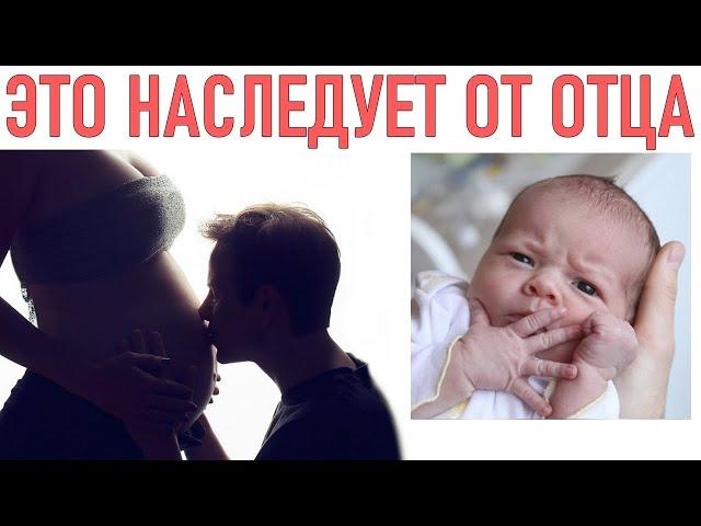 ЧТО РЕБЕНОК НАСЛЕДУЕТ ОТ ОТЦА | Отцовская хромосома определяет пол ребенка