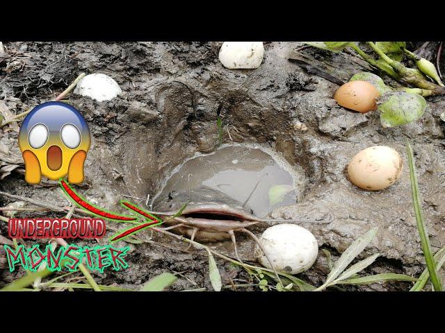 Unbelievable Underground Fishing l Village Smart Boy Caught Monster Catfish In Rural Canal Use Egg