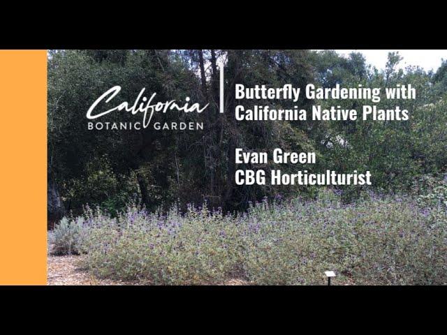 Habitat Gardening for Butterflies with Evan Green