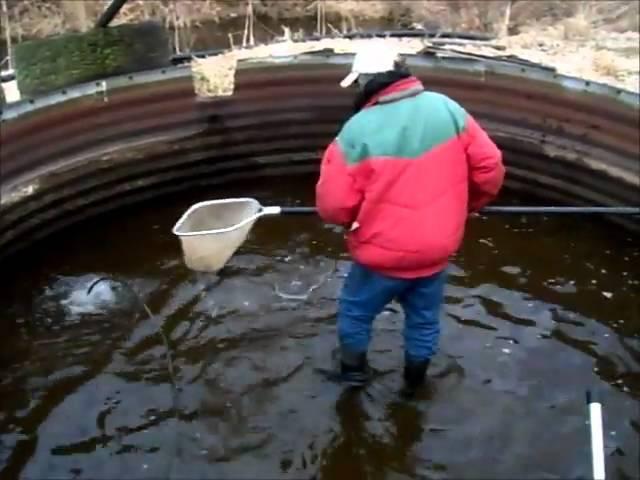 RJ and Franks Fishing Adventures II.wmv