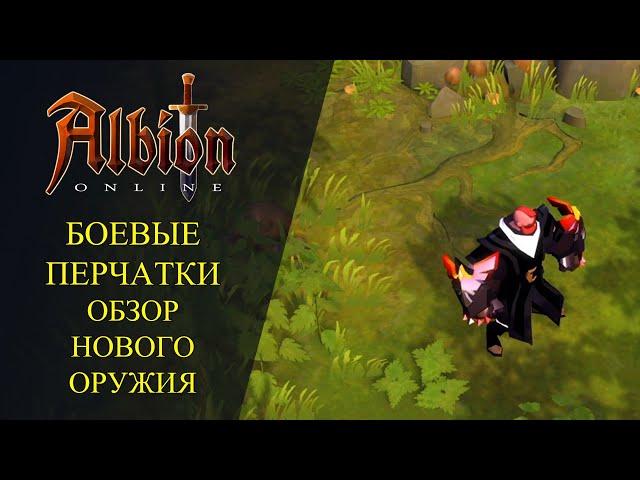 Albion online : ️ БОЕВЫЕ ПЕРЧАТКИ - ОБЗОР НОВОГО ОРУЖИЯ ️ Умения и Пассивные навыки!