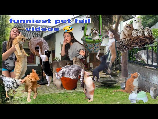 Best Funniest Videos of 2024 Funny Pets Fail to Master Their Masters