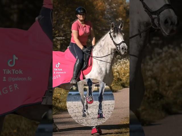 Don't Go#dontgo #visor #vizier #prehorse #horsie #pre #purarazaespañola #dreamhorse