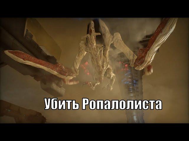 warframe как убить Ропалолиста