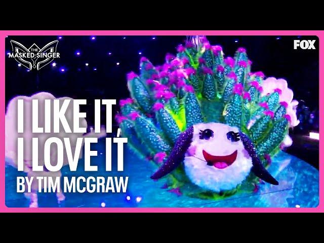 Leaf Sheep STUNS With “I Like It, I Love It” by Tim McGraw | Season 12