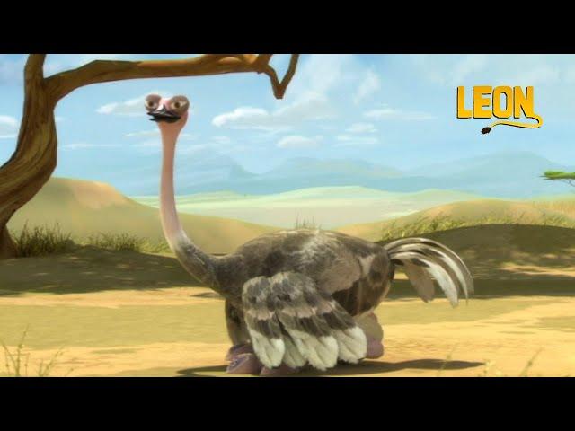 Dungbeetle | Leon the Lion | 20' Compilation | Crazy animals