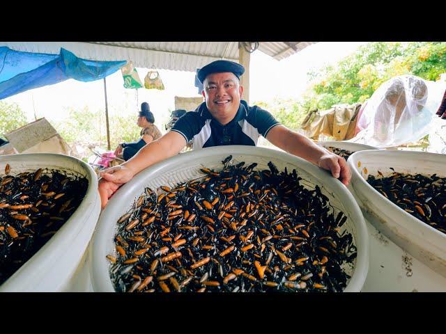 Vietnam's SHOCKING Insect Market - Dishes made from stink bugs, crickets, cicadas | SAPA TV