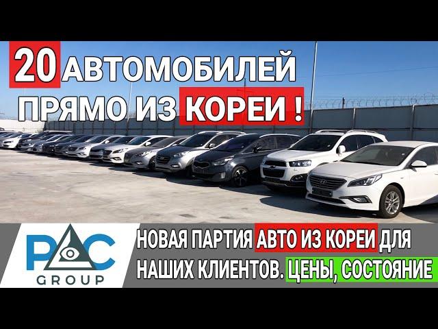 20 авто из Кореи для наших клиентов.Sorento, Sonata, Tucson - Новая разгрузка 2020. Цены и состояние