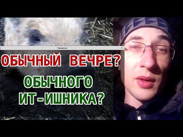 Обычный вечер обычного ИТ-ишника