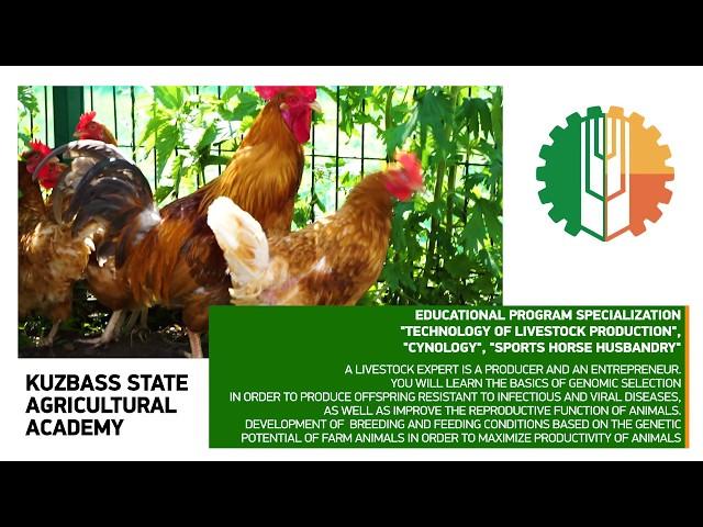 Kuzbass State Agricultural Academy invites foreign applicants for education: Zootechnics