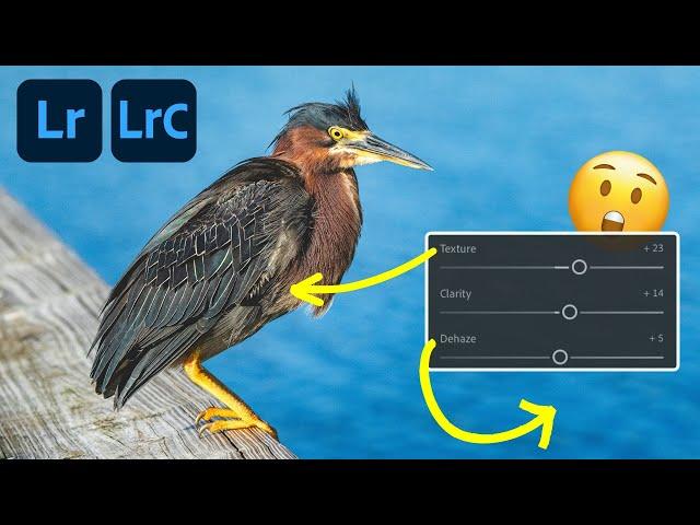 This Is How LIGHTROOM PROS Use Clarity, Dehaze, and Texture