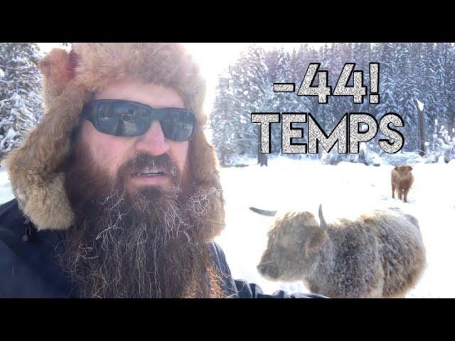 Surviving off Grid in dangerous Temps | not for weekend warriors!