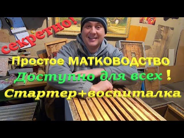 ВЫВОДИМ ПЧЕЛИНЫХ МАТОК премиум класса, ВАМ ЭТОГО НЕ РАССКАЖУТ МАТКОВОДЫ! Простой и Доступный Способ!