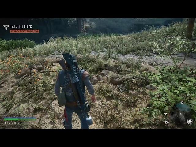 Days Gone Story