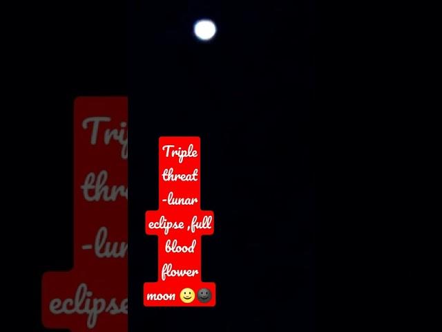 triple threat blood moon,full flower moon and lunar eclipse salute