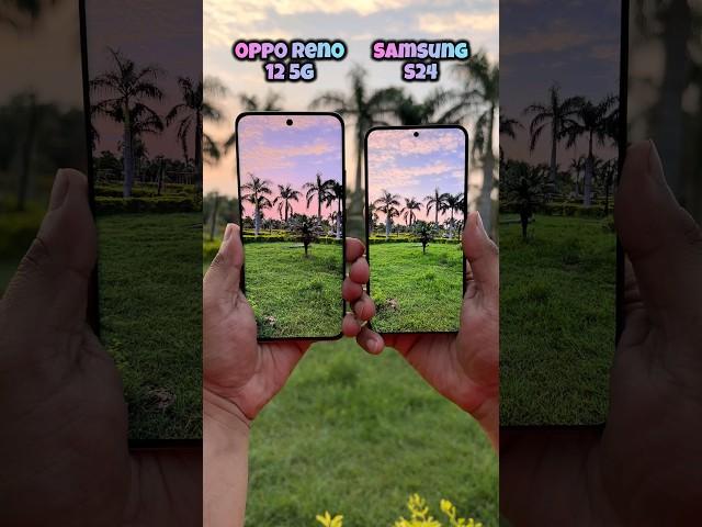 Oppo Reno 12 5g vs Samsung Galaxy S24 Camera Test #opporeno12 #oppo #s24 #samsung #shorts