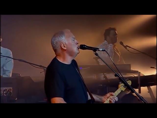 David Gilmor - Live In Gdańsk 2006