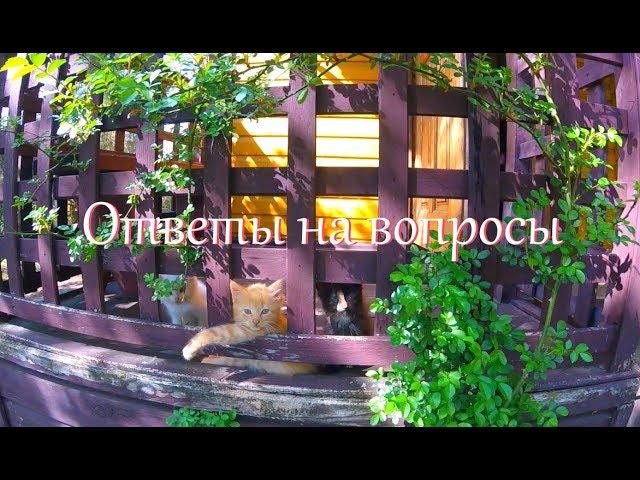 Ответы на вопросы зрителей//Жизнь в деревне.