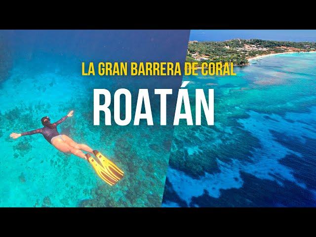 QUE HACER en ROATÁN, Honduras : Black Rock, El Canal, West Bay y el mejor HOTEL de mi VIDA ‼️