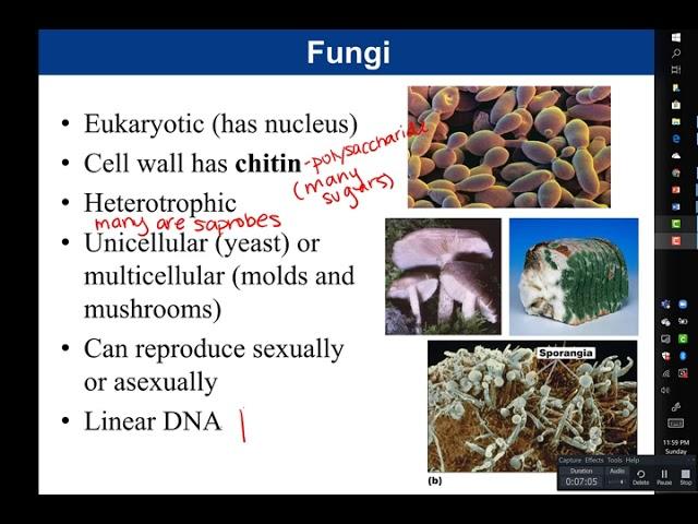 Chapter 1:  Introduction to Microbiology