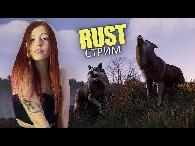 СТРИМ️ Новое соло выживание в самой центре карты в RUST