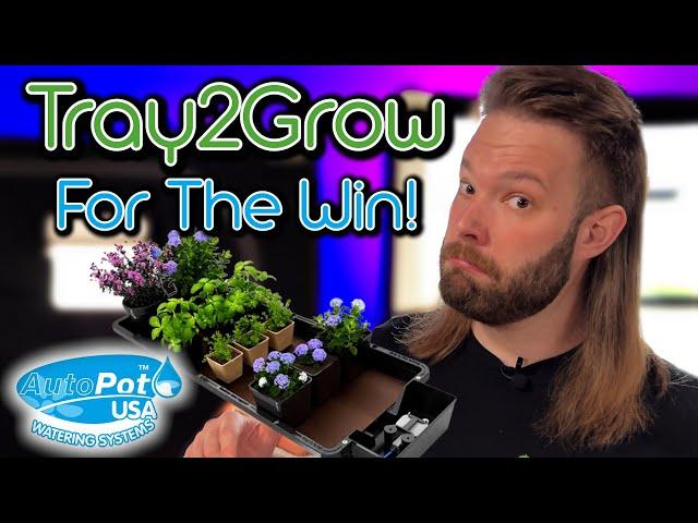 Autopot Tray2Grow | Easy Set Up and 5 BEST Techniques