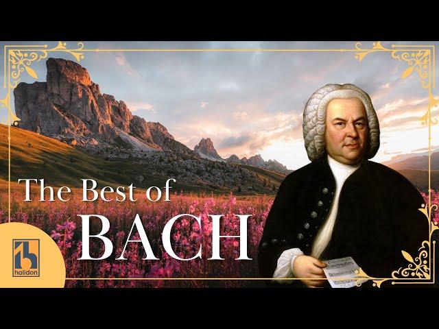 The Best of Bach