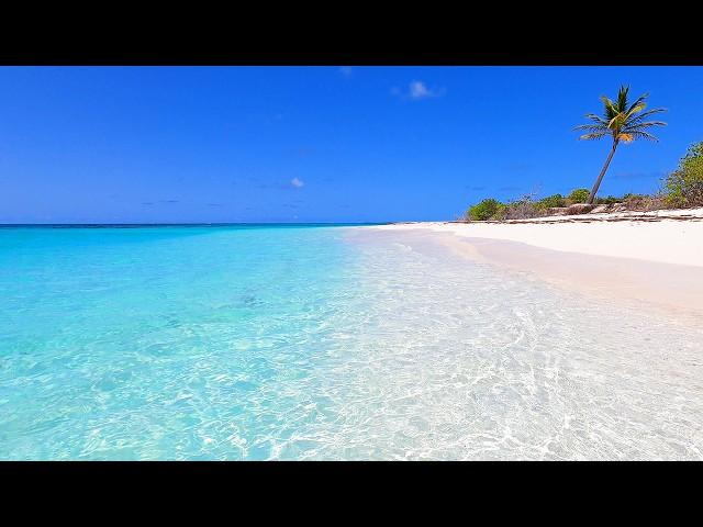 Turquoise Shoals: The Most Relaxing Waves in The World