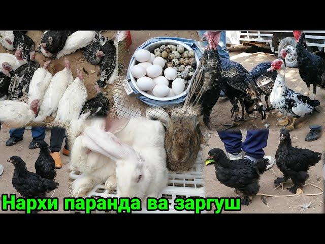 Паранда бозор нархи Дакан Хиндук Мург Заргуш Будана, 12 октября 2020 г.