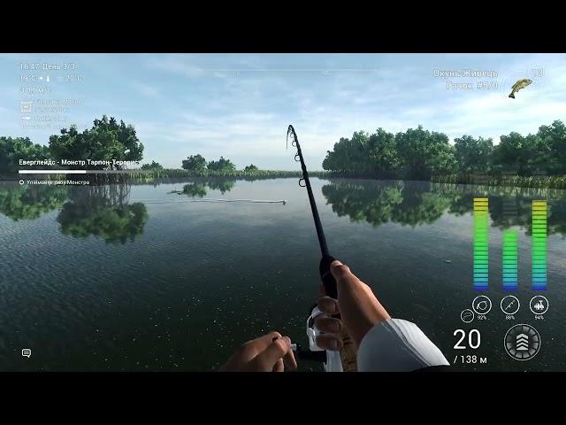 Монстр Тарпон Террорист. Эверглейдс. Fishing Planet