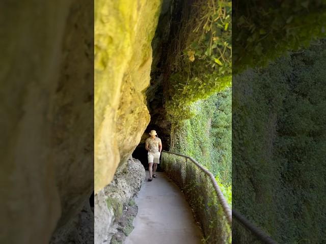 Umpherston sinkhole mount gambier #fypシ゚ #mountgambier #umpherstonsinkhole#shortvideo #travel