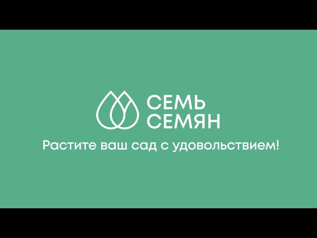 ЗНАКОМИМСЯ С ИНТЕРНЕТ-МАГАЗИНОМ СЕМЬ СЕМЯН!