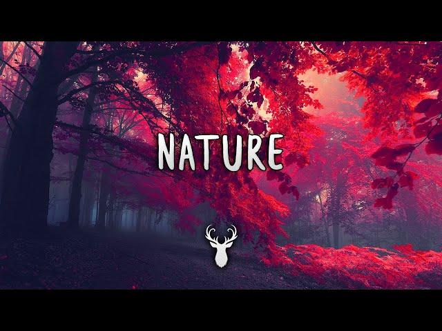 Nature | Chill Mix