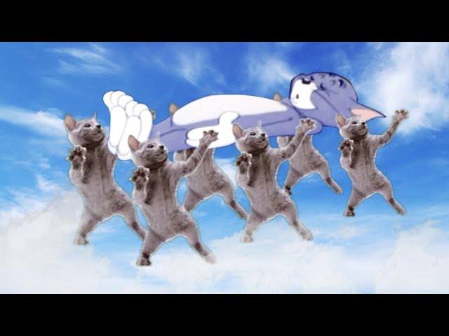 Astronomia - Coffin Dance Meme - Cats Cover