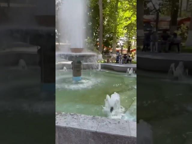 НАМАНГАН УЗБЕКИСТАН , ФАНТАН МОЛОДОСТИ , УЗБЕКИ ПРИЕЗЖАЮТ СЮДА ЧТОБЫ СДЕ… #узбекистан #индия #гоа