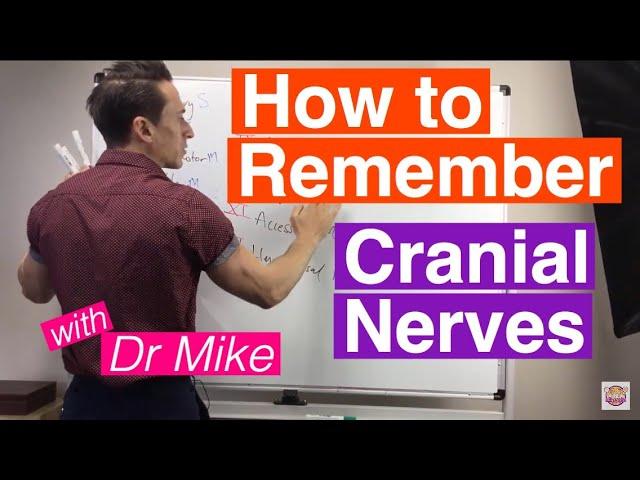 How To Remember Cranial Nerves