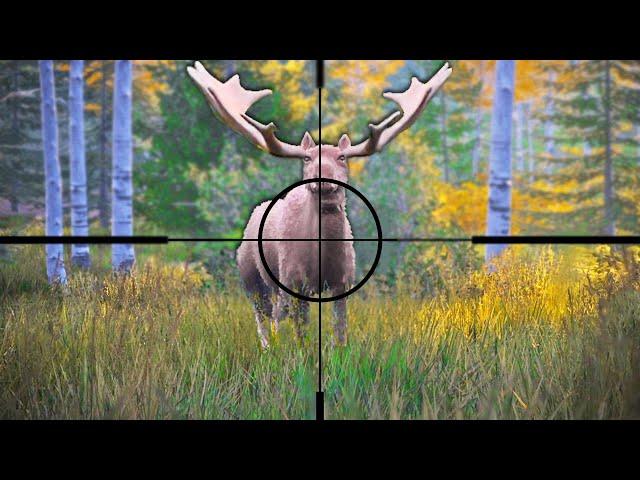 Hunting GIGANTIC Moose in Hunting Simulator 2