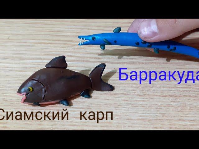 Лепим барракуду и сиамского карпа.