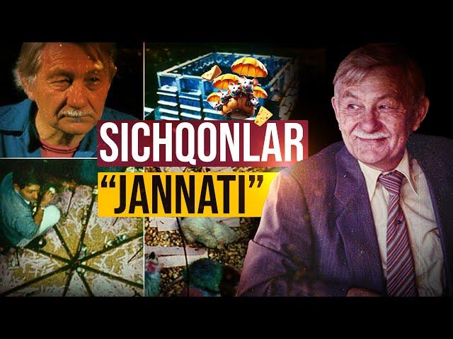 Sichqonlar jannati | Ustoz Abdulloh Zufar