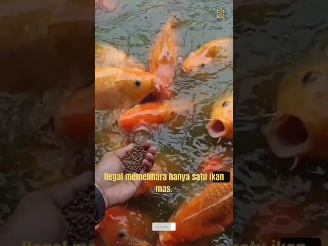 Fakta menarik dan kejadian unik dunia