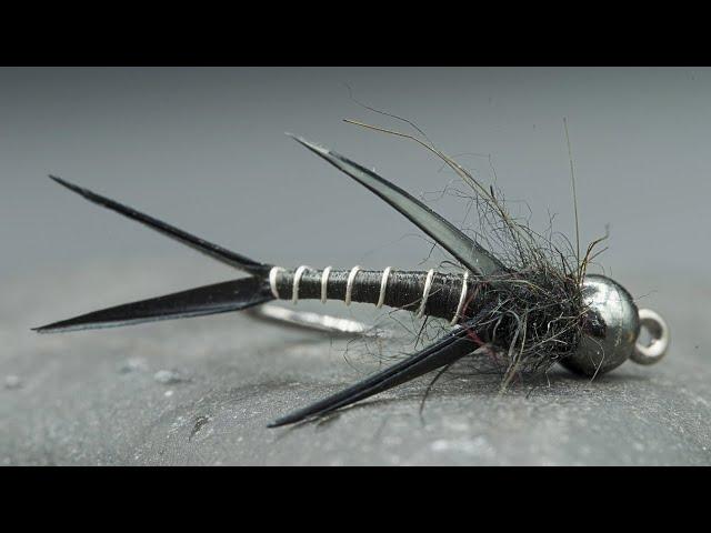 Mini Stone Fly Nymph | Easy Dropper Pattern!