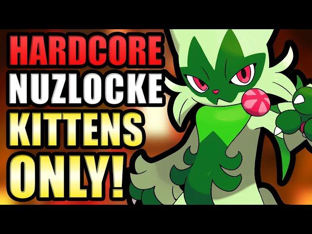 Pokémon Violet Hardcore Nuzlocke - Cats Only! (No items, no overleveling)