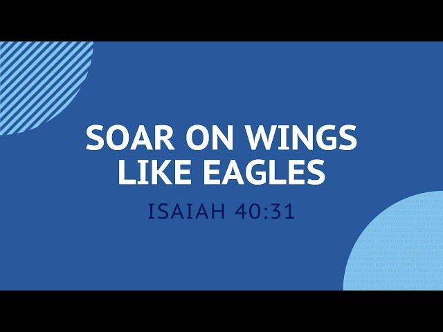 Soar on Wings Like Eagles - Daily Devotion