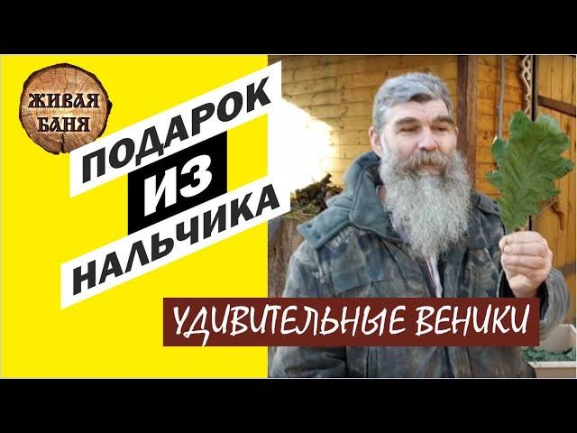 Нальчик! Благодарю за отличные веники!!! //Живая Баня Иван Бояринцев