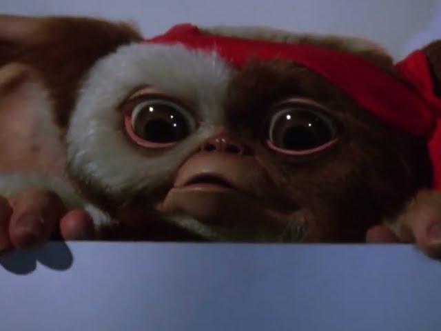 Gremlins 2 but, only gizmo on the screen (fixed)